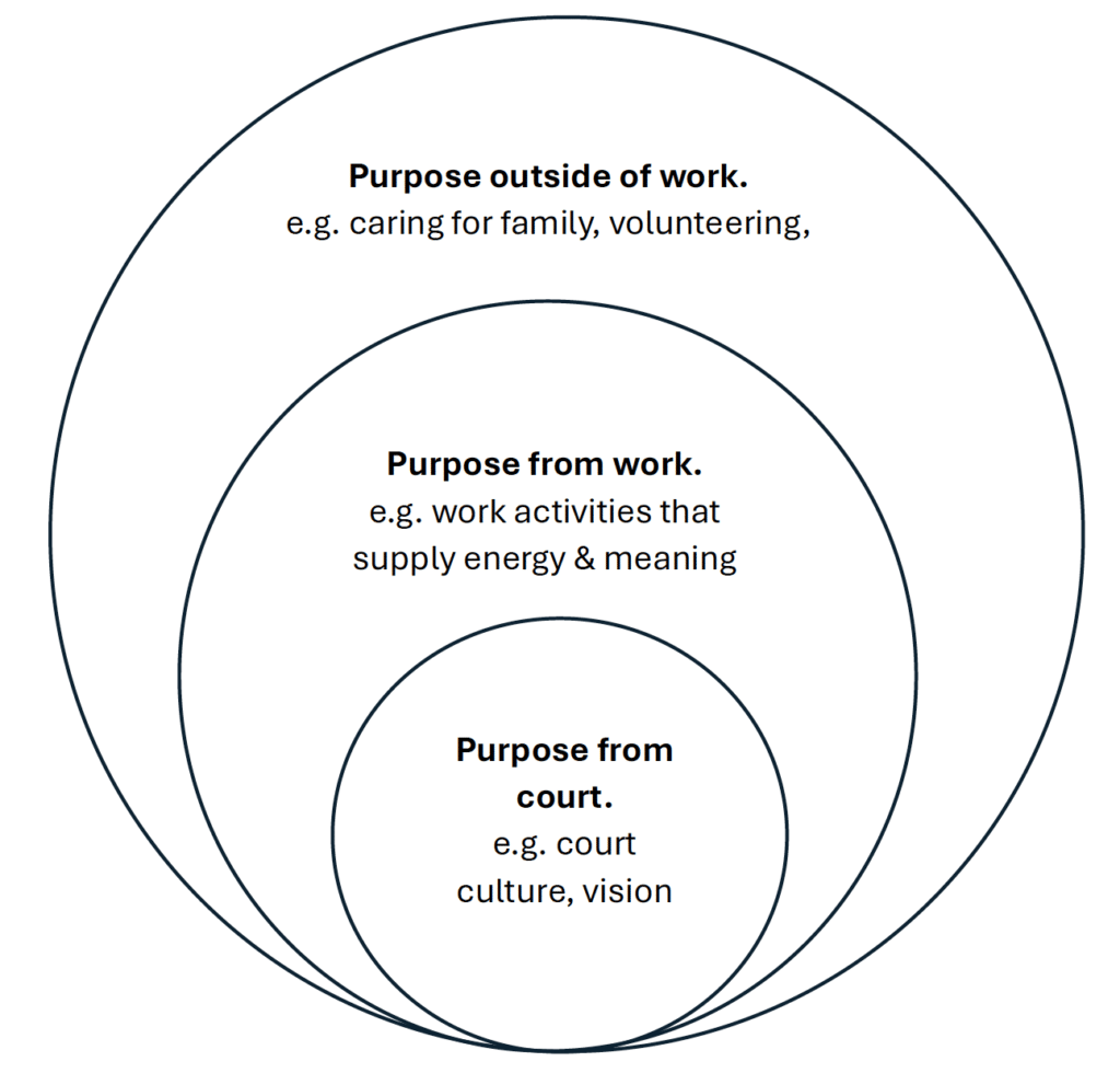 Relationship between individual purpose and work [circle chart] | Biggest circle: Purpose outside of work, e.g. caring for family, volunteering
Middle circle: Purpose from work, e.g. work activities that supply energy & meaning.
Smallest circle: Purpose from court, e.g. court culture, vision.